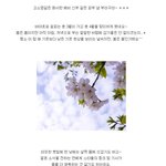 고소영같은 화사한 예비신부 같은 <b>솜털</b>피부 부럽소~ ㅎㅎ