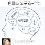 심심해서 해본 원피스 <b>맴버</b> 뇌구조~