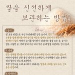 쌀 <b>신선</b>하게 보관하고 맛있는 밥 먹자!