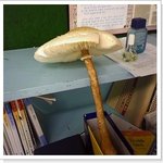 고딩때 학생들 <b>이목</b>을 집중 시켰던 사건 有