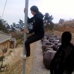 포토샵으로 <b>편집</b>해주세요 ㅠㅠㅠㅠㅠㅠㅠㅠㅠㅠㅠㅠㅠㅠ