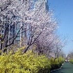 워킹 다이어트족들을 위한 '서울의 걷기좋은 길들'