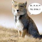 외국어학원에서 있었던 황당한 이야기 ㅋ