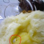 파x바<b>xx</b>에서 산 커피번에 이런게들어있어요!!!!