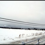 도시 '<b>촌놈</b>'의 막무가내 '일본 농업'도전기