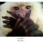 재밌는 우리의 과외시간은 적벅끌시