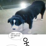 승부욕이 쎄신 우리 아버지