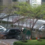 우리 아파트엔 곰이 <b>살아요</b>!