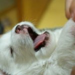 아 너무이뻐 여신이네 <b>세상</b> <b>혼자</b>사는년