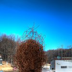 [성남시 분당구] <b>율동</b>공원 - 경기도 성남시 소재