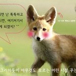 취업준비 <b>중생</b>들아.. 어딜 헤메이고 있는게냐.. 취업정보는 여기...