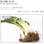 파가 감기와 <b>코</b>막힐<b>때</b> 좋다네요 ^^ 저도 파요리 해보려구요 ㅎㅎ