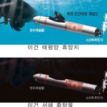 <b>난무</b>하는 천안함사고설