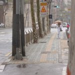 (사진有)치마 한번 잘못입었다가 <b>도복</b>차림으로 온 내동생