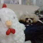 꿈에서 말해<b>주려</b> 하던건 ....?
