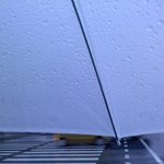 ★<b>우박</b>에게 순식간에 빼앗겼어요!!(인증有ㅠㅠ)★