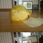 <b>봉지</b>고양이!!!!!!!!!>_<!!!!!!!!!!!!!