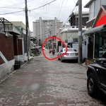 <b>동물</b>학대하는 나쁜 사람..(사진有)