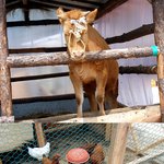 <b>청춘</b>불패 촬영장 갔다왔습니다! ^^
