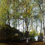 <b>일산</b>호수공원 2010 블루밍 봄시즌.(사진有)^ㅡ^