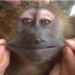 문자사용량이 많은 10대추천요금제 - <b>show</b>알문자매니아