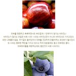 피부를 땡땡하면서도 촉촉하고 때로는 부드러우면서도 <b>탄력</b>있게?!