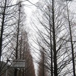 [ 사진 有]요즘 학교 수학여행 코스는 이래요 훗 ㅋ