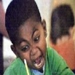 날아다니는개미의 방습격사건 (사진有)