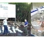 21세기판 비교체험 극과극!!!