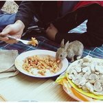 문자사용량이 많은 20대를 위한 요금제 < 쇼 문자사랑 요금제 >