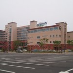 보성다비치<b>콘도</b>