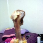 bbq치킨 며칠전 오골계 후라이드를먹고 설사함