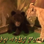 처음보는 여자분 코피를 냈어요..