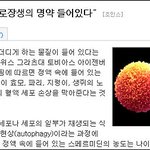 불로장생의 묘약은 바로 남자 정/액임. 여자분들 <b>주목</b>!!