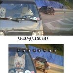 <b>꺄오</b>!!!!!!!!!!나 집지엇어 >_<