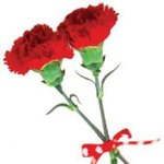 어버이날 부모님께 드리는 문자 한통