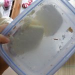 한국을 개무시한 일본인의 황당한 행동........