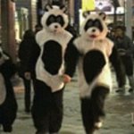 <b>팬더</b>움짤의 실체를 알게되었습니다 ㅋㅋㅋㅋㅋㅋㅋㅋㅋㅋㅋㅋㅋㅋ