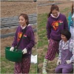 하라쿠우 ~ 직찍 <b>청춘</b> !