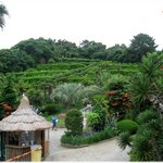 어깨에있는짐들 "외도"<b>에다</b> 두고오세요들~