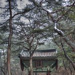 [경기도 교육감 예비후보 강원춘] 현등사 - 경기도 가평군 소재