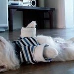 보면 잠이 오는 귀염<b>둥이들</b>ㅋㅋㅋ