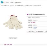 올겨울 유행 <b>장갑</b>