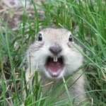 첫눈에 반한 그녀를 찾습니다. 도와주세요!