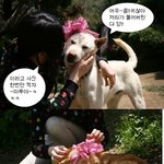 날씨도 좋고해서 <b>리본</b>찍고 사진찍었어요~*^^*