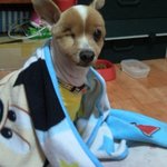 새로운 가족이 생겼어요!!