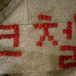 지금 인증 타임인<b>가바</b>..?  나도 인증 !