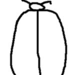 이젠 벌래를 봐도 아무렇지않아요