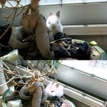 (사진) " 너 이제 마약도 하니?? "