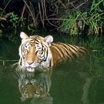 요즘 <b>출몰</b>하는 강간범 입니다. 조심하세요.